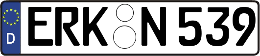ERK-N539
