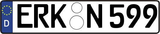 ERK-N599