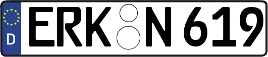 ERK-N619