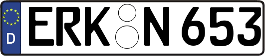 ERK-N653