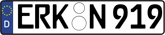 ERK-N919