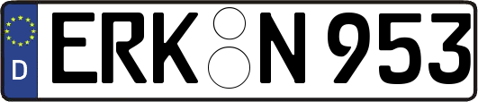 ERK-N953