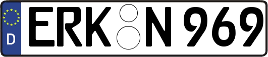 ERK-N969