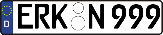 ERK-N999