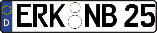 ERK-NB25