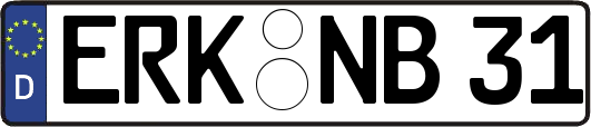ERK-NB31