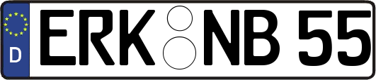 ERK-NB55