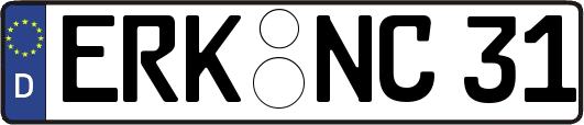 ERK-NC31