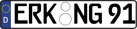 ERK-NG91