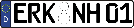 ERK-NH01