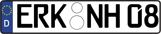 ERK-NH08