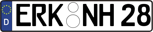 ERK-NH28