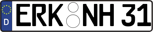 ERK-NH31