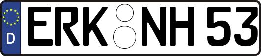 ERK-NH53