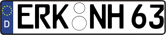 ERK-NH63