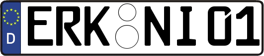 ERK-NI01