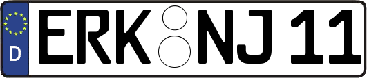 ERK-NJ11