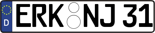 ERK-NJ31