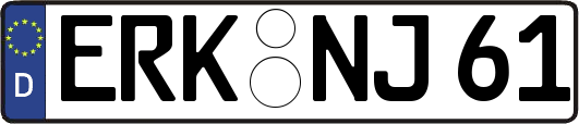 ERK-NJ61