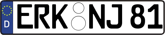 ERK-NJ81
