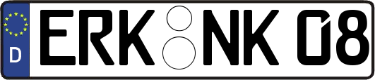 ERK-NK08