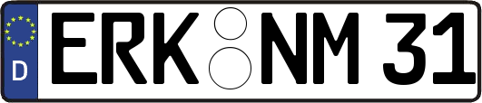 ERK-NM31