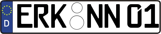 ERK-NN01