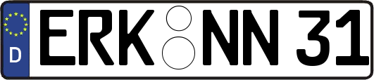 ERK-NN31