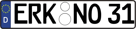 ERK-NO31