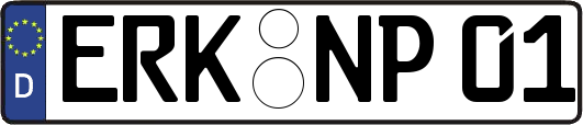 ERK-NP01