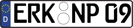 ERK-NP09
