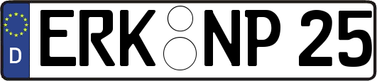 ERK-NP25
