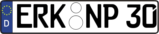 ERK-NP30
