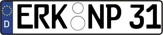 ERK-NP31