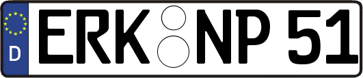 ERK-NP51