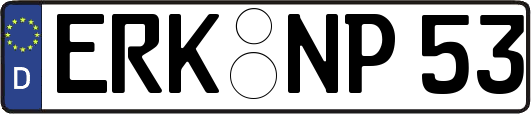 ERK-NP53