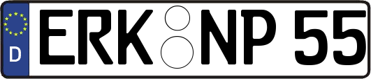 ERK-NP55