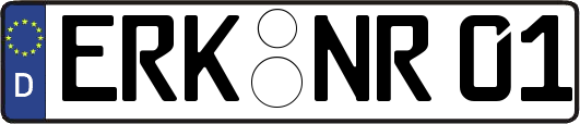 ERK-NR01