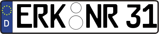 ERK-NR31