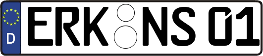 ERK-NS01