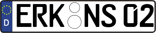ERK-NS02