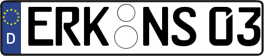 ERK-NS03