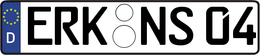 ERK-NS04