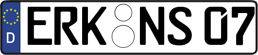 ERK-NS07