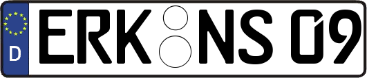 ERK-NS09