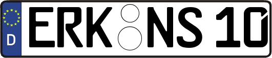 ERK-NS10