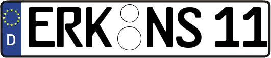 ERK-NS11