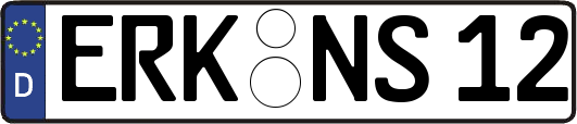 ERK-NS12