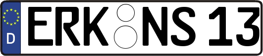 ERK-NS13