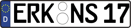 ERK-NS17